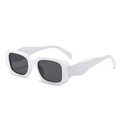 Gafas de sol blancas con montura cuadrada gruesa con lentes UV gris oscuro y patillas - Montura Blanca Lente Gris Oscuro