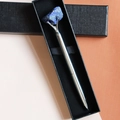 Dettaglio penna in metallo argento con pietra di lapislazzuli blu in scatola regalo - Lapislazzuli