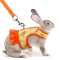 Adjustable rabbit harness with carrot print and leash set for small pets in orange - S / Orange