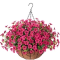 Detail of fuchsia artificial violets in a coconut fiber liner with black iron hanging basket - Rose Red