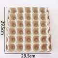 Plateau à œufs carré de 30 alvéoles en pulpe, 29,5 cm, pour stockage et transport - Plateau à Œufs en Pulpe (29,5 cm/30 Trous)