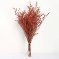 Preserved dried statice flower bouquet in reddish brown tied with white string - Orange (120g)