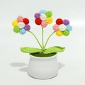 Detail of colorful hand-crocheted puff flowers in a minimalist white ceramic pot - Puff Flower Colorful