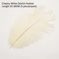 Plume d'autruche blanc crème de 25-30cm pour la décoration de bouquets de fleurs DIY - Crème/Beige (25-30cm)