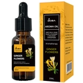 20ml Ginger Flowers essential oil dropper bottle with illustrated paper box - DC-20 Ginger Flowers / 20ml