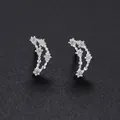 999 Sterling silver Capricorn zodiac stud earrings with sparkling round cubic zirconia - Capricorn