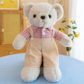 Teddy bear plush toy in pink plaid shirt and beige overalls on blue checkered cloth - Pink Couple Bear Male