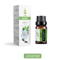 Jasmine essential oil 10ml variant in brown glass bottle with white brand packaging box - Jasmine