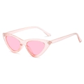 Modische Katzenaugen-Sonnenbrille mit transparentem rosa PC-Rahmen und getönten Gläsern - Transparent Rosa / Rosa