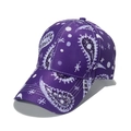 Deep purple paisley print baseball cap with bohemian celestial patterns and curved brim - Purple