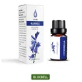 Bluebell water-soluble essential oil 10ml with minimalist floral gift box packaging - Bluebell