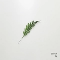 Deep green artificial cedar branch DIY floral accessory 25x5cm for Christmas decor - North American Short Leaf Pine