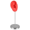 Red silicone ear model with adjustable metal stand for earring display and teaching - Right Ear / Red