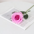 Single pink purple artificial velvet rose with green leaves on a magazine background - Round Silk Light Purple