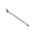 Silver stainless steel extension chain with lobster clasp and S.steel engraved tag - Silver Engraved Oval