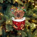 Kreativer Weihnachtsschmuck mit süßem Hund im roten Schneeflocken-Strumpf und Rentier-Geweih - Rhodesian Ridgeback