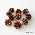 Set de 10 piñas naturales marrones para decoración navideña de 3-4 cm sobre fondo blanco - Color Natural 3-4cm (10 Unidades)