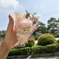 Pink Rose