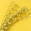 Handmade crochet yellow mimosa flower bouquet with green stems on matching yellow background - Yellow Liriope Flower Single Stem Green Stalk