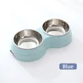 Blue dual stainless steel pet bowls with non-slip base for dogs and cats - Blue