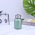 Detail of a mini sage green insulated bottle with matte finish and steel carry ring - 300ml (316 Base) / Light Green