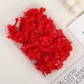 Preserved red hydrangea petals in a transparent DIY box for crafts and flower art - 5g / Red
