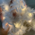 Detail of soft white feathers with warm yellow LED lights for festive Christmas decor - Large Decorative Boa / White/Thick/Warm Light