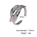 Detailansicht des silbernen Federrings mit 17,4 mm Innendurchmesser und 10 mm Breite - Silber