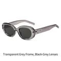 Vintage-Oval-Sonnenbrille mit transparentgrauem Rahmen und drei Metallsternen - Transparenter grauer Rahmen Graue Gläser