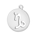 Zodiac Capricorn round metal pendant in silver finish for minimalist jewelry styling - Steel Color Capricorn (KLJ4487-Z)