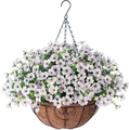 Detail of hanging basket with artificial white violet flowers and coconut palm liner - White