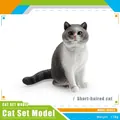 Modello realistico di gatto a pelo corto grigio-bianco, 118g, per collezione giocattoli - Gatto a Pelo Corto (PL127-2332)