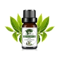 Wasserlösliches Teebaum-Duftöl 10ml Flasche mit frischen grünen Blättern im Hintergrund - Teebaumöl