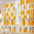 Simple cream-colored curtain featuring fresh yellow lemon patterns for cozy living rooms - Orange Tangerine [Hook Ring] Single Panel