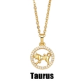 Détail macro du pendentif zodiaque Taureau doré orné de pierres de zircon blanc - Taureau