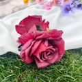 Elegante fermaglio per capelli a rosa rosso scuro con clip nera su erba verde fresca - 15CM / Rosso