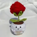 Handmade red crochet flower plant in white pot with positive message 15x7cm - Positive Potted-White Pot Red Rose