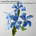 5-Head Flame Orchid Deep Blue