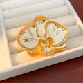 Detailopname van een vergulde orchideeënbroche met wit emaille op een fluwelen doosje - Orchidee Vorm / Goud