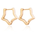 Minimalist gold geometric star-shaped stainless steel huggie earrings for daily wear - Star / Rose Gold