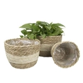 Three handmade woven plant pots with waterproof lining in natural grass and cream colors - Set of 3 Beige S/M/L