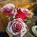 Roses rouge foncé pour bouquets avec effet de neige givrée et peinture en spray - Lot de 4 bouteilles / Neige blanche fine