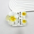 Frangipani flower hair claw set with yellow-white gradient color and 3-piece design - Cabbage Flower White Background With Yellow Center Set (including Card)