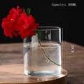 500ML borosilicate glass hydroponic cylinder vase with 10CM height and 8.5CM diameter - D8.5cm*H10cm (500ML)