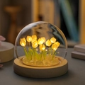 Single Glass Dome (No Flowers No Base) 16 Yellow Tulips