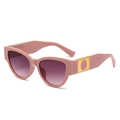 Pink oval cat-eye sunglasses with purple gradient lenses and gold metal accents - Pink Frame Gradient Grey Lens