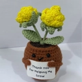 Handmade crochet positive potato potted plant with yellow flowers and thank you card - Positive Potted-Double Head Rose Yellow