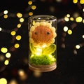 Girasole all'uncinetto fatto a mano in cupola di vetro con luci LED e sughero - Girasole Sorridente