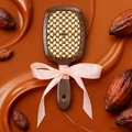 Chocolate brown fragrance hairbrush with pink bow tie and cocoa bean aesthetic background - Cocoa Bean Scent (Brown)