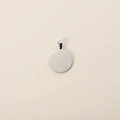 Close-up of polished round stainless steel pet tag with ring for custom engraving - Steel